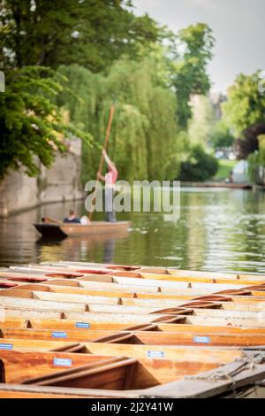 Der flache Fokus auf den Vordergrund wirft den Hintergrund der Universitätsgebäude von Cambridge und die Studenten in dieser ruhigen englischen Szene aus dem Fokus. Stockfoto