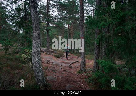 Frau beim Wandern durch den Wald im Nationalpark Tyresta in Schweden Stockfoto