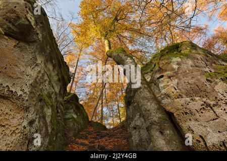 Sandsteinfelsen in der Teufessschlucht, Eifel, Rheinland-Pfalz, Deutschland Stockfoto