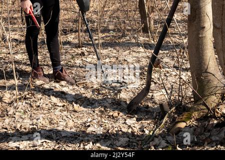 Mädchen, die mit einem Metalldetektor durch den Wald spazieren, Suche nach Münzschätzen. Stockfoto