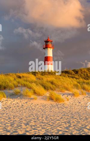 Liste Ost Leuchtturm in Ellenbogen, Sylt Insel, Schleswig-Holstein, Deutschland Stockfoto