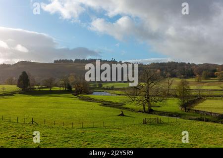 Britische Landschaft aus Feldern und reifen Bäumen in Upper Wharfedale am Fluss Wharfe in der Nähe von Grassington, Yorkshire Dales National Park, Großbritannien Stockfoto
