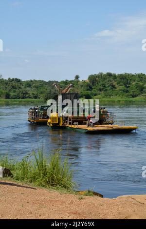 Uganda; nördliche Region an der Grenze zur westlichen Region; Murchison Falls National Park; auf dem Victoria Nil; Giraffentransport auf der Fähre in Paraa Stockfoto