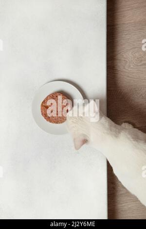 Weiße Katze isst Fleischpastete. Blick von oben Stockfoto