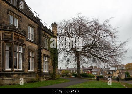 Burley-in-Wharfedale Dorfzentrum mit altem Yorkshire Steingebäude, The Grange, und einem reifen Baum. West Yorkshire, Großbritannien Stockfoto