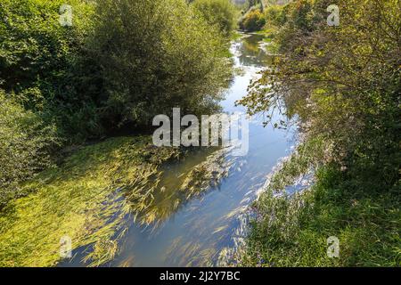 Rott, Flussidylle auf dem Innradweg bei Neuhaus am Inn Stockfoto