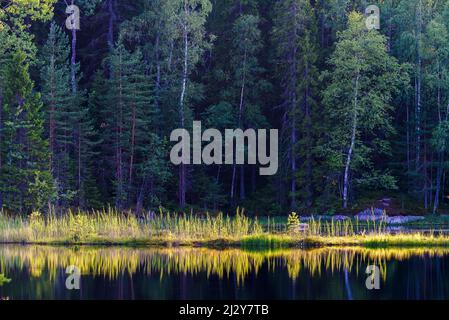 Nuuksio-Nationalpark, Espoo, Helsinki, Finnland Stockfoto