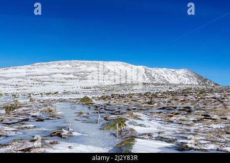 Mount Katahdin Summit Tablelands, Schnee, Winter, Alpine Zone, Northern Terminus Appalachian Trail, Baxter State Park, höchster Berg in Maine. Stockfoto