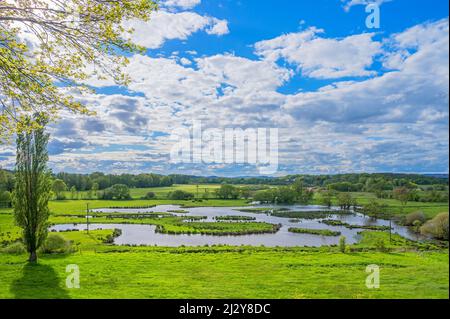 Das Biotop Beeden bei Homburg, Bliesgau Saarland, Deutschland Stockfoto