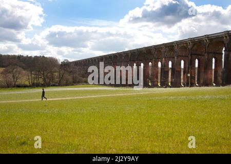 Balcombe Viadukt, das 1940 für die Eisenbahn London-Brighton erbaut wurde, erstreckt sich über 92 Meter über dem Ouse Valley, West Sussex, England Stockfoto