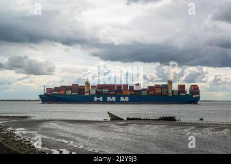 Auf dem Weg zum Hafen von Antwerpen passiert das Containerschiff HMM DAON ein Holzwrack am Wattenmeer bei Hansweert, Zeeland, Niederlande Stockfoto