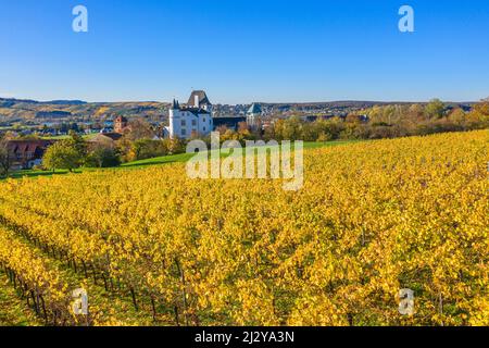 Luftaufnahme von Victor&#39;s Residenz in Schloss Berg, Nennig, Saarland, Deutschland Stockfoto