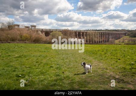 Balcombe Viadukt, das 1940 für die Eisenbahn London-Brighton erbaut wurde, erstreckt sich über 92 Meter über dem Ouse Valley, West Sussex, England Stockfoto