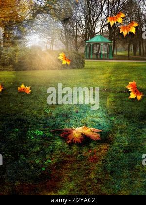 Herbst im park Stockfoto