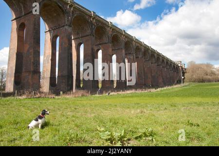 Balcombe Viadukt, das 1940 für die Eisenbahn London-Brighton erbaut wurde, erstreckt sich über 92 Meter über dem Ouse Valley, West Sussex, England Stockfoto