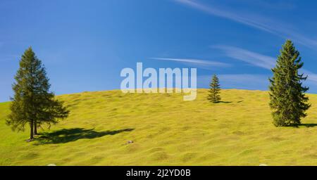 Buckelwiesen zwischen Mittenwald und Krün, Werdenfelser Land, Oberbayern, Bayern, Europa Stockfoto