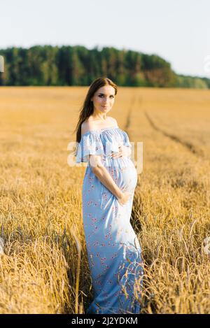 Eine Schwangere in blauem Kleid steht bei Sonnenuntergang in einem Roggenfeld und hält ihre Hände auf dem Bauch Stockfoto