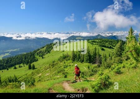 Mann wandern klettert zum Trainsjoch, Trainsjoch, Mangfallgebirge, Bayerische Alpen, Oberbayern, Bayern, Deutschland Stockfoto