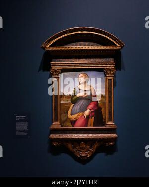 Diese Ausstellung, die erste außerhalb Italiens, die alle Aspekte der künstlerischen Tätigkeit Raphaels während seiner gesamten Karriere umfasst, bietet einen neuen Einblick in die multidimensionale Natur seiner Kreativität. In der Dokumentation seines phänomenalen Erfolgs und seiner außergewöhnlichen Energie offenbart er seine Begeisterung für die Zusammenarbeit, seinen Unternehmergeim und seine Geschicklichkeit bei der Verhandlung der oft tückischen Gewässer kirchlicher, fürstlicher und päpstlicher Schirmherrschaft. Es unterstreicht auch die Qualitäten, die kontinuierliche Bewunderung für seine Kunst im Laufe der Jahrhunderte sichergestellt haben ... Stockfoto