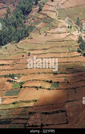 Uganda; westliche Region; südlicher Teil; Terrassenanbau in der Nähe des Bwindi Impenetrable Forest National Park Stockfoto