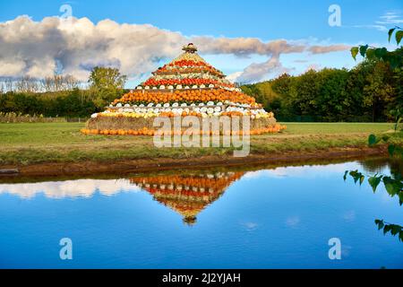 Kürbispyramidenschau in der Eifel, Krewelshof, Mechernich, Nordrhein-Westfalen, Deutschland Stockfoto