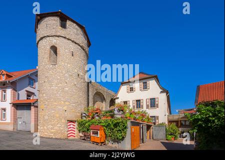 Turm von Fleckenmauer in Flörsheim-Dalsheim, Alzey-Worms, Rheinland-Pfalz, Deutschland Stockfoto