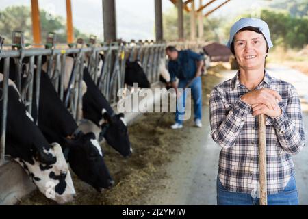 Reife Arbeiterin im Kuhstall Stockfoto