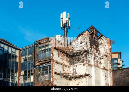 Altes und neues Konzept: Blick auf den städtischen Verfall und die Mobilfunk-Antennen auf dem Dach eines Bürogebäudes. 5G High-Speed-Internet Stockfoto