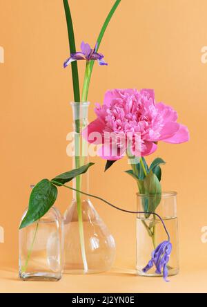 Anordnung von verschiedenen Blumen, Iris, Aquilegia, Pfingstrose in Glasvasen. Stockfoto