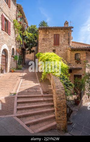 Gasse in Assisi, Provinz Perugia, Umbrien, Italien Stockfoto