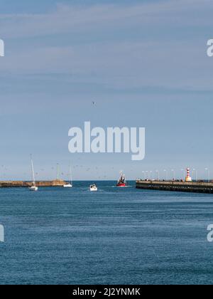 Ein kleines Fischerboot verlässt den Fluss Coquet im Hafen von Amble in Northumberland, Großbritannien, mit Kopierraum. Stockfoto