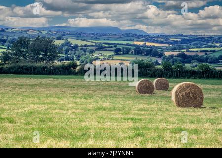 Wales, Offa's Dyke Fußweg. Blick nach Norden aus der Nähe von White Castle, Monmouthshire. Stockfoto