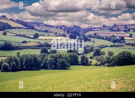 England. Offa's Dyke Fußweg zwischen Kington und Knighton. Der Pfad folgt der niedrigen Baumlinie quer durch die Bildmitte, dann wendet er sich diagonal von rechts-Mitte nach oben links und folgt den Bäumen. Stockfoto