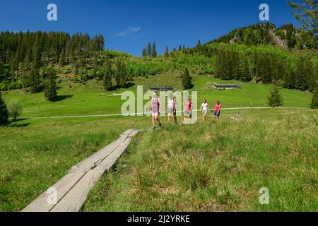 Mehrere Menschen wandern auf Holzplankenweg durch Wiese, Almen im Hintergrund, Hochgern, Chiemgauer Alpen, Salzalpensteig, Oberbayern, Bayern, Deutschland Stockfoto