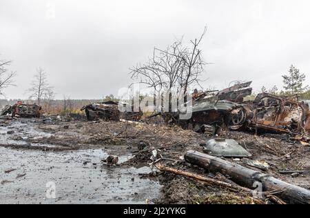 Bucha, Ukraine. 03. April 2022. Die zerbrochenen Panzer und die Kampffahrzeuge der russischen Eindringlinge, die in der Nähe des Dorfes Dmitriewka gesehen wurden. Kredit: SOPA Images Limited/Alamy Live Nachrichten Stockfoto