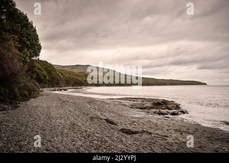 Küstenabschnitt am Fin de Camino (letzter Abschnitt der Straße vom Festland), südlich von Punta Arenas, Patagonien, Chile, Südamerika Stockfoto