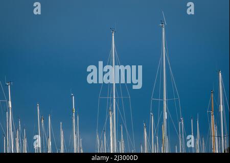 Aufgenommen in Chichester Marina, Sussex, England, Großbritannien, ist dies eine abstrakte Aufnahme der Gipfel der Yachten, die vor einem klaren blauen Himmel masten. Stockfoto