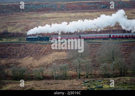 Santa Special Train, Moorlander, Dampfzug auf dem Weg von Pickering nach Grosmont über die Levisham Station in North York Moors UK Stockfoto