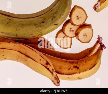 Wegerich Nahrung Stillleben auf einfachem Hintergrund Stockfoto