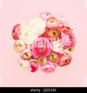 Strauß rosa Ranunculus Blumen auf einem rosa Hintergrund. Muttertag, Valentinstag, Geburtstagskonzept. Draufsicht, Platz für Text kopieren Stockfoto