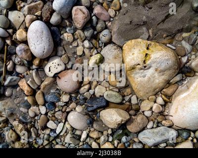 Zufällige Muster in der Natur, kleine Strandkiesel an der Costa Blanca Küste, Spanien Stockfoto