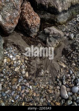 Zufällige Muster in der Natur, kleine Strandkiesel an der Costa Blanca Küste, Spanien Stockfoto