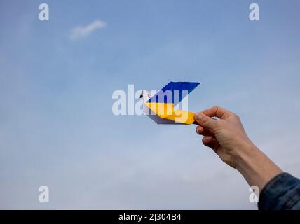 Papiertaube des Friedens in der Hand, Flügel sind in gelben und blauen Farben der ukrainischen Flagge gegen den Himmel gemalt. Ein Symbol des Friedens. Unterstützt Die Ukraine. St Stockfoto