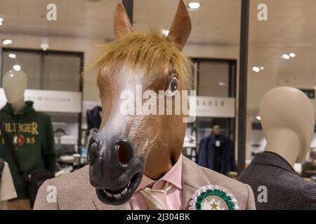 Pferde stehen in einem Kaufhaus für Herrenbekleidung auf einer Schaufensterpuppe Stockfoto