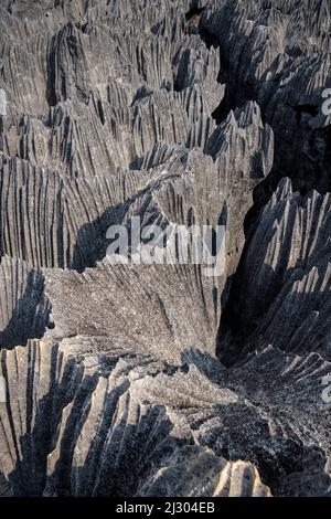 Detail der scharfkantigen Karstlandschaft, Tsingy de Bemaraha Nationalpark, Madagaskar, Mahajanga Provinz, Afrika, UNESCO-Weltkulturerbe Stockfoto