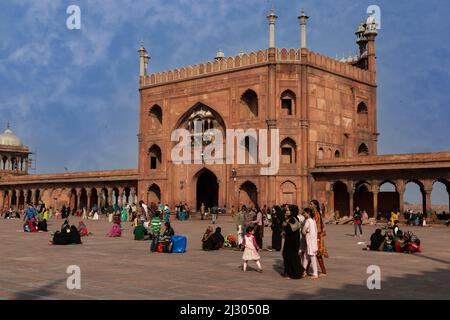 Neu-Delhi, Indien. Innenhof der Jama Masjid (Freitagsmoschee), Indiens größte Moschee, erbaut 1644-1656. Warten auf Gebete am späten Nachmittag. Stockfoto