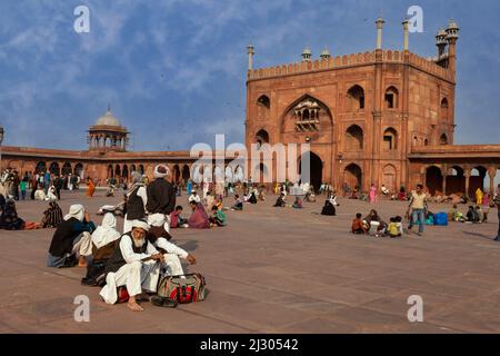 Neu-Delhi, Indien. Innenhof der Jama Masjid (Freitagsmoschee), Indiens größte Moschee, erbaut 1644-1656. Warten auf Gebete am späten Nachmittag. Stockfoto