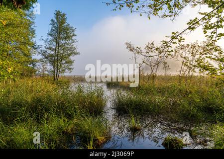 Nebliger Frühherbstmorgen am Großen Ostersee, Bayern, Deutschland, Europa Stockfoto