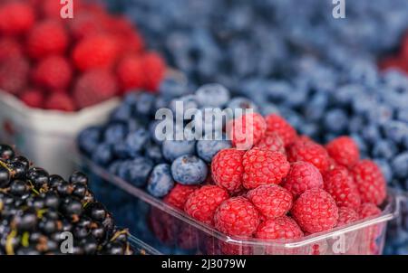 Kleine Plastikboxen mit Heidelbeeren und Himbeeren auf dem Lebensmittelmarkt, Detailansicht Stockfoto