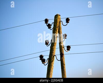 Elektrischer Mast mit Drähten auf einem Feld auf dem Land. Stockfoto